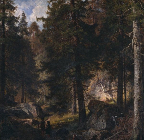 In the Forest - view 1