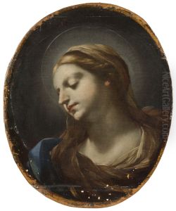 Head of the Virgin