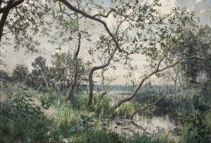 Water Vegetation. Motif from Ostergotland Water Vegetation. Motif from Ostergotland