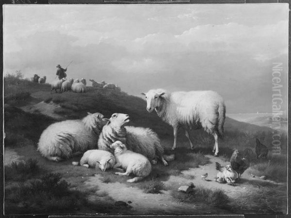 Dune Landscape with Resting Sheep - view 1