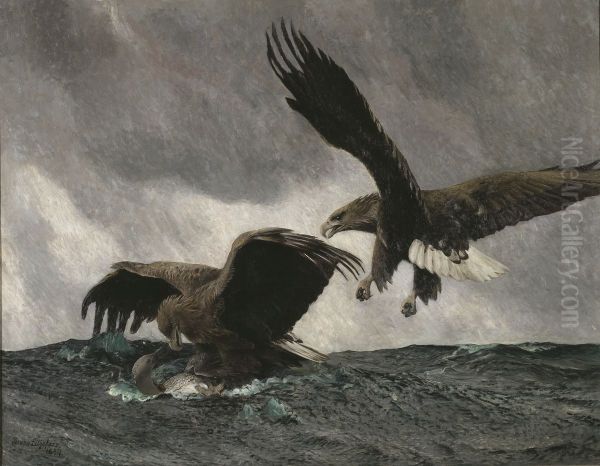 Sea Eagles - view 1