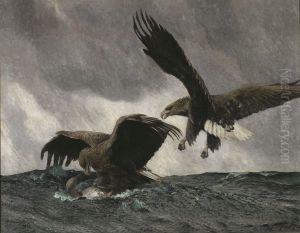 Havsornar