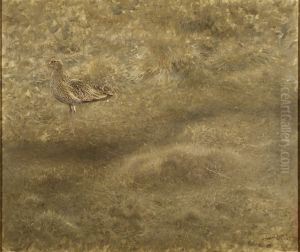Eurasian Curlew Eurasian Curlew