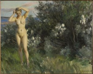 Vid Siljan by Anders Zorn