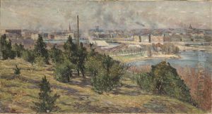Utsikt over Stockholm fran Skansen by Karl Nordstrom