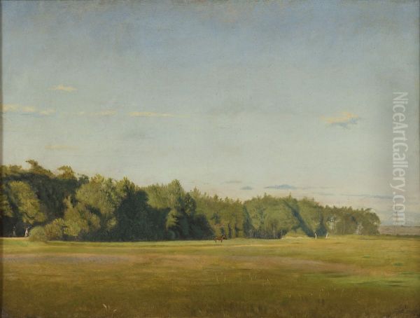 Landskap - view 1