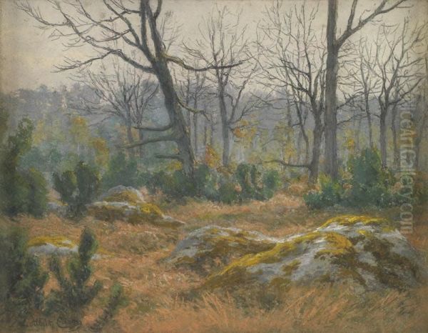 Sous Bois A Fontainebleau - view 1