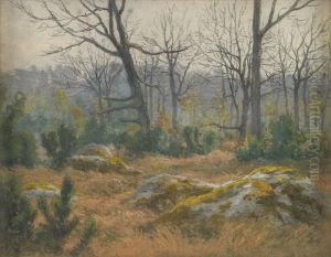 Sous Bois A Fontainebleau by Albert Caron