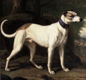 Turck, a Hound Belonging to King Karl XI by David Klocker Ehrenstrahl