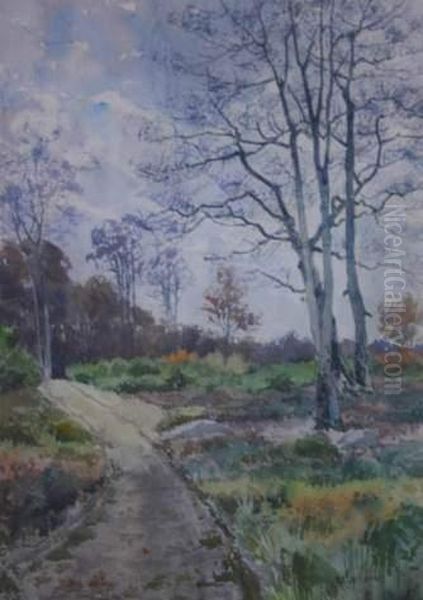 Paysage Aux Bouleaux. - view 1