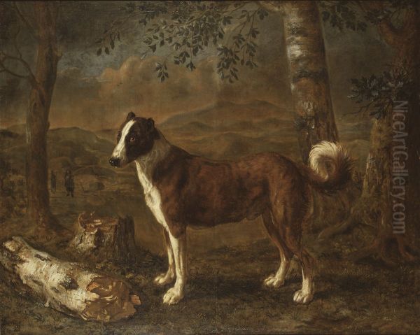 Hund i landskap - view 1