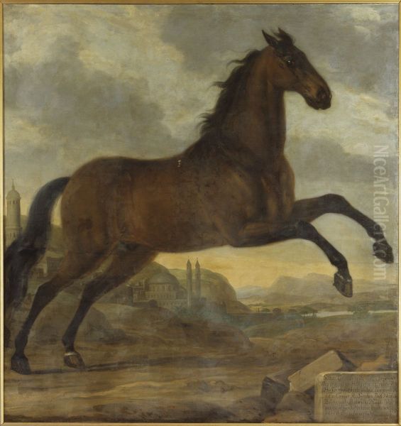 Karl XI:s livhast Sultan - view 1