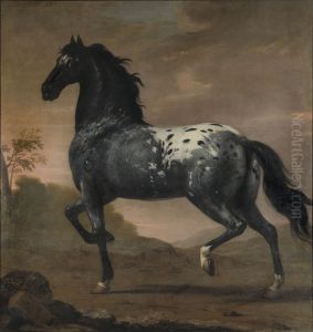 Karl XI:s livhast Bla Tigern Karl XI:s livhast Bla Tigern