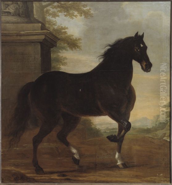 Karl XI:s livhast Tott - view 1