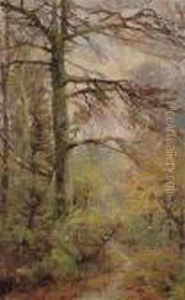 Wooded Landscape - view 1