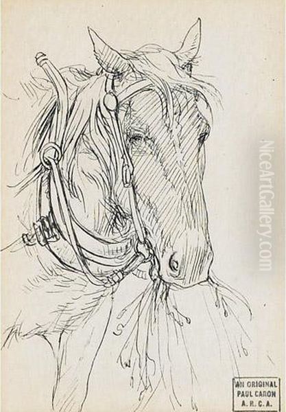 Horse Feeding - view 1