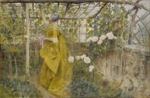 The Vine