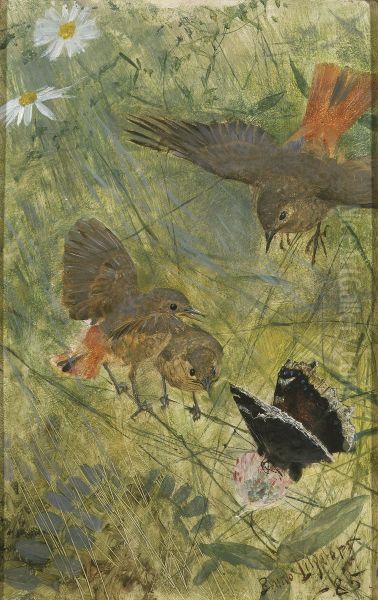 Redstarts and Butterflies. Five studies in one frame, NM 2223-2227 - view 1