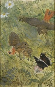 Redstarts and Butterflies. Five studies in one frame, NM 2223-2227 by Bruno Andreas Liljefors