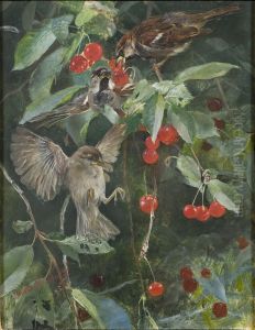 Sparrows in a Cherry Tree. Five studies in one frame, NM 2223-2227 by Bruno Andreas Liljefors