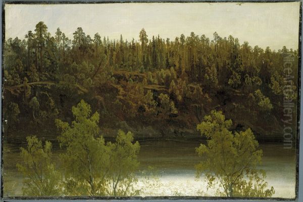 Svenskt insjolandskap. Studie - view 1