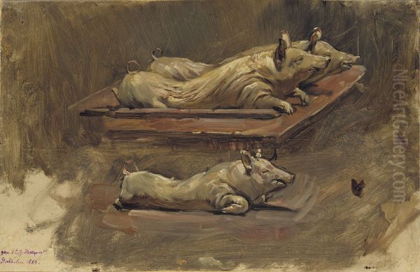 Pigs. Study for During Fasting Time - view 1