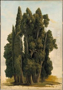 Cypresser. Studie by Gustaf Wilhelm Palm