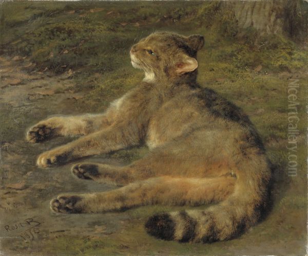 Vildkatt - view 1
