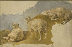 Three Sheep. Study Three Sheep. Study