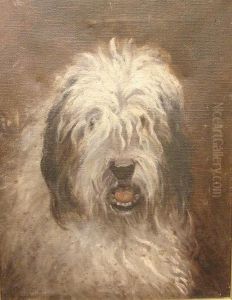 Portrait Of An Old English Sheepdog by Giovanni Francesco Caroto