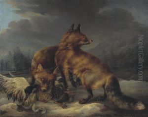 Two Foxes Two Foxes