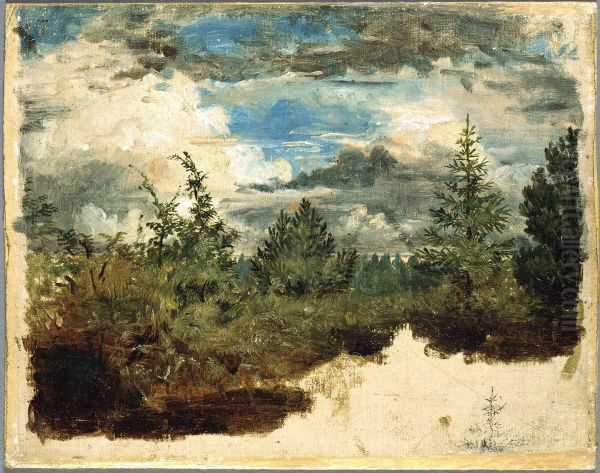 A Wooded Hillside. Study - view 1