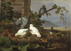 Pigeons by Ferdinand von Wright