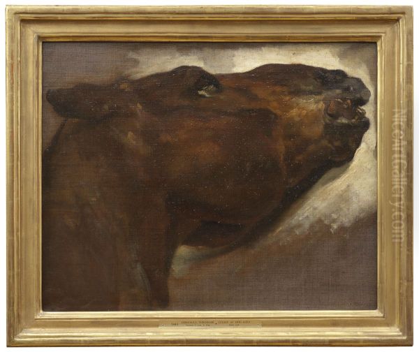 Study of a Dead Horse - view 1