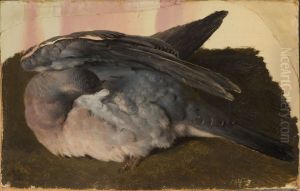 Studie av sovande skogsduva by Ferdinand von Wright