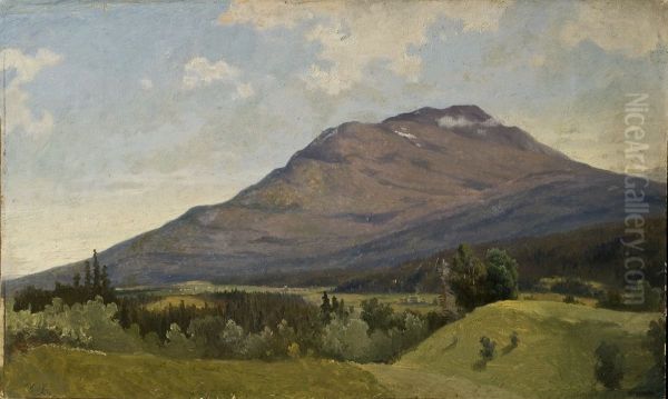 Summer Landscape with Mountain - view 1