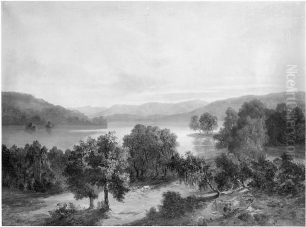 Lake Scene - view 1