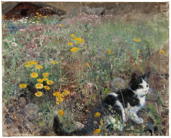 Katt pa blomsterang - view 1