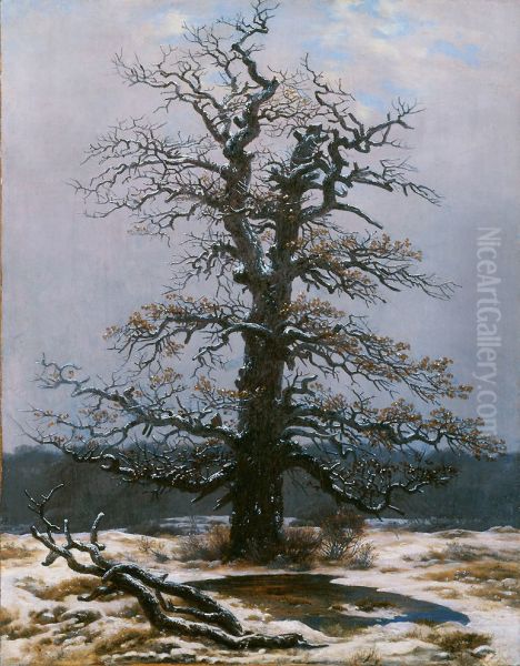 Oak in the Snow - view 1