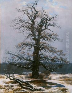 Oak in the Snow