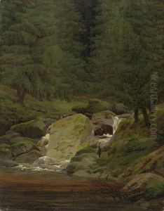 Tannen am Wasserfall
