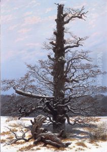 Eichbaum im Schnee