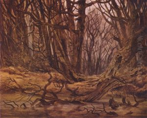 Forest in late autumn (Forest water, autumn forest)