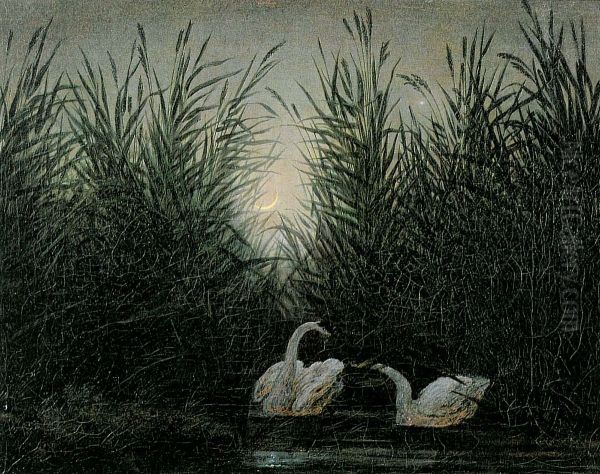 Swans in the Reeds - view 1