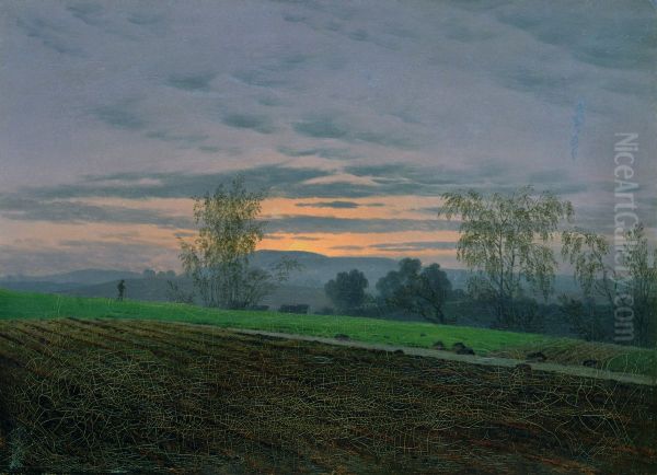 Sturzacker (Plowed field) - view 1