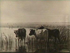 Morgenstond aan de plassen. by Pieter Stortenbeker