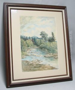 Mountain Stream. by Eileen Carpenter