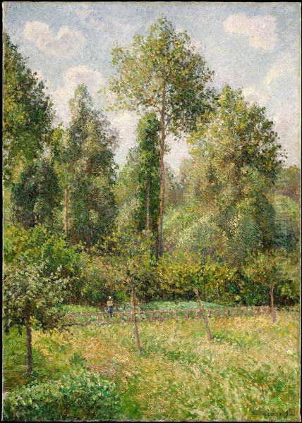 Poplars, Eragny - view 1