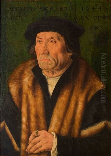 Adriaan de Witte - view 1