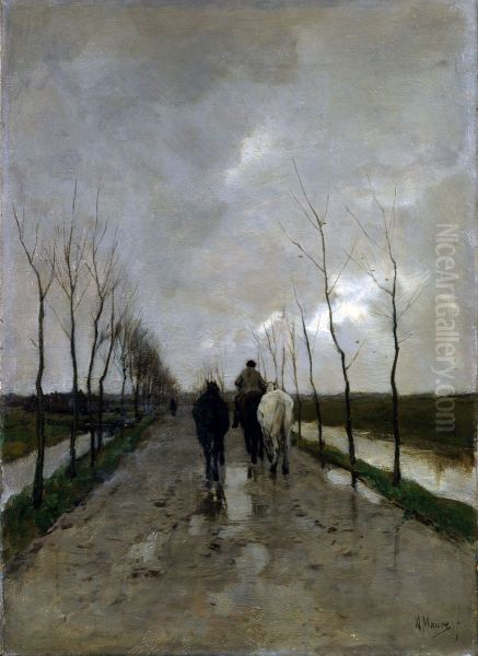 Hollandse weg - view 1